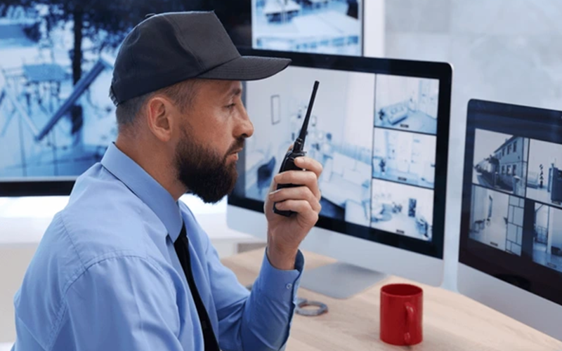 securitymanagement services